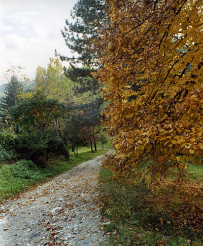 Questo sentiero conduce al fiume Arno, in località Stia(AR), foto ottobre 2005.