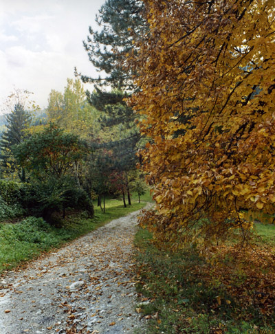 Questo sentiero conduce al fiume Arno, in localit Stia(AR), foto ottobre 2005.